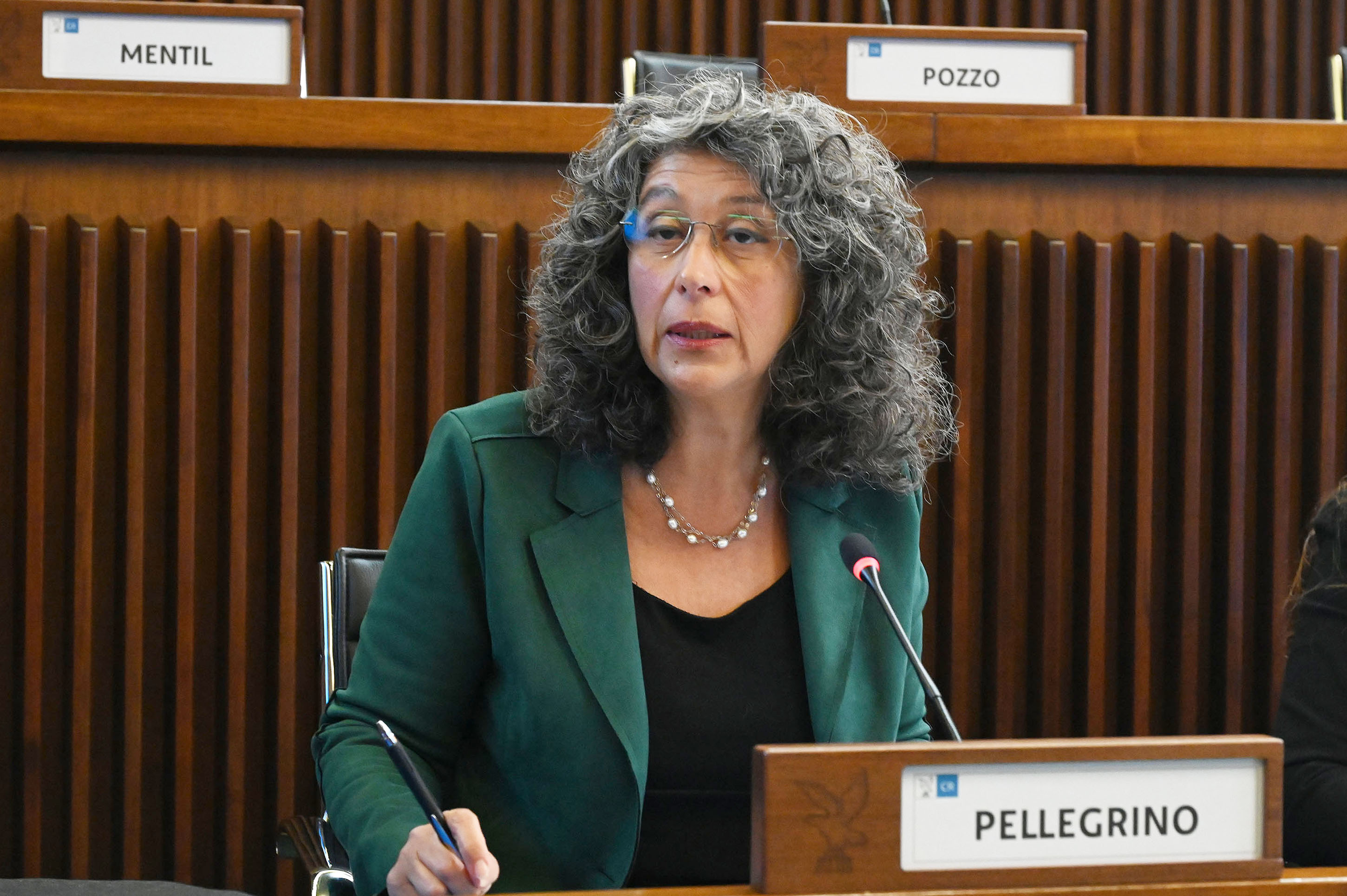 OMNIBUS. PELLEGRINO (AVS): OK A TAVOLARE, MA SERVE NORMA NAZIONALE